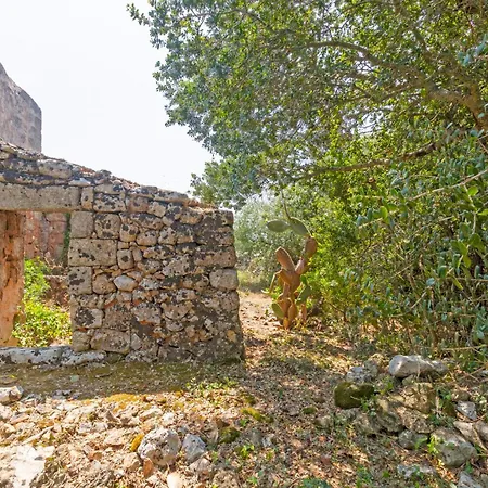 Petramore Puglia On Line Villa